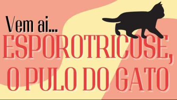Vem ai Esporotricose o pulo do Gato | Not&iacute;cias