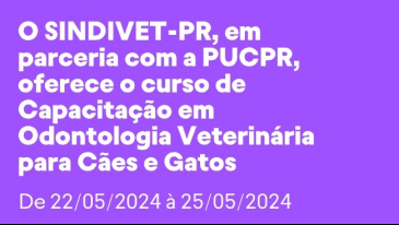 Capacita&ccedil;&atilde;o em Odontologia Veterin&aacute;ria C&atilde;es e gatos &ndash; In company | Not&iacute;cias