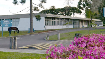 75 anos de dedica&ccedil;&atilde;o: o Hospital Veterin&aacute;rio da UFPR celebra sua hist&oacute;ria de excel&ecirc;ncia | Not&iacute;cias
