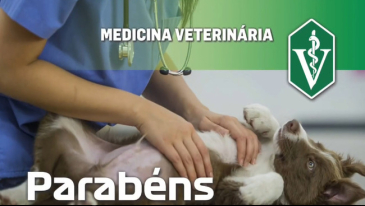 Dia do Médico-Veterinário
